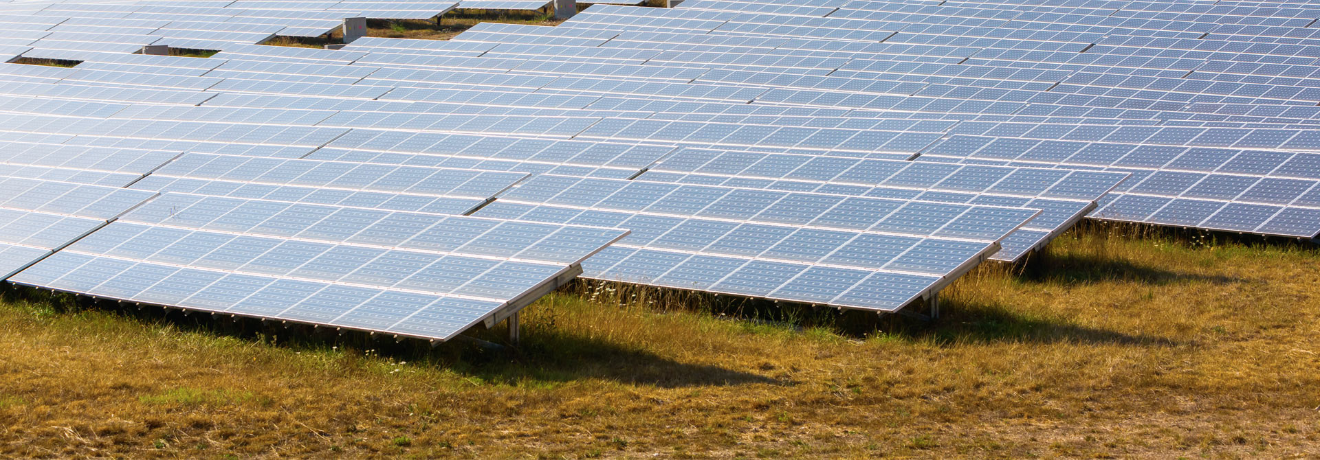 Fotovoltická elektráreň – rady solárnych panelov na lúke